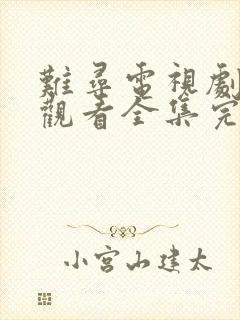 难寻电视剧免费观看全集完整版高清