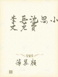 李兵沈思小说全文免费封面