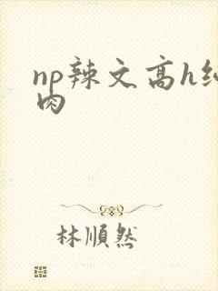 np辣文高h纯肉