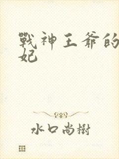 战神王爷的小医妃