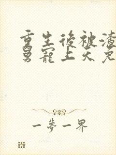 重生后被渣男舅舅宠上天免费播放