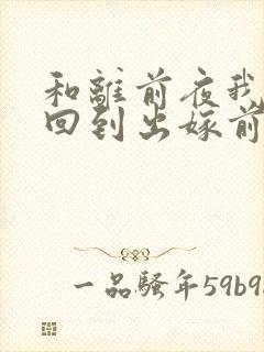 和离前夜我重生回到出嫁前