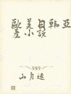 欧美日韩亚洲国产小说封面