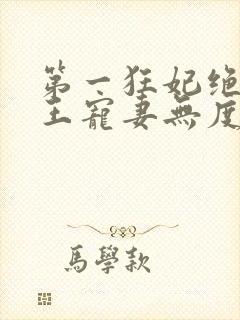 第一狂妃绝色邪王宠妻无度人物