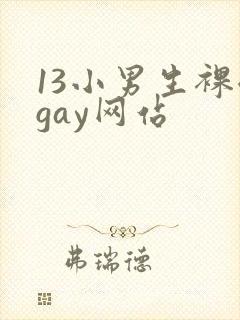 13小男生裸体gay网站