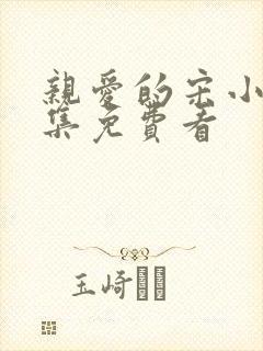 亲爱的宋小姐全集免费看