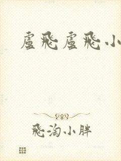 卢飞卢飞小说网封面