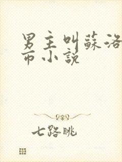 男主叫苏洛的都市小说