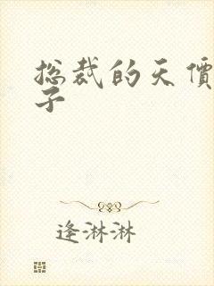 总裁的天价小妻子