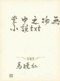 掌中之物无删减小说txt