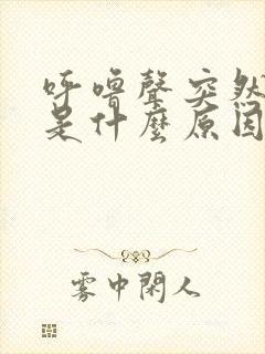 呼噜声突然变大是什么原因