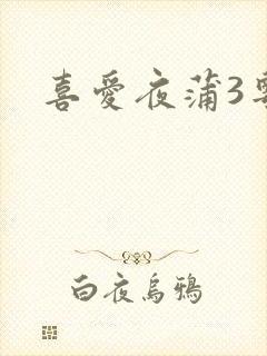 喜爱夜蒲3粤语