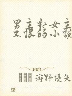 男主对女主又爱又恨的小说