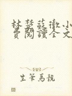 林楚苏彻小说免费阅读全文最新章节