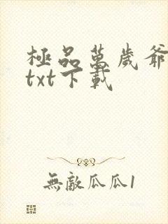 极品万岁爷全集txt下载封面