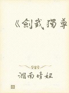 《剑武独尊》封面