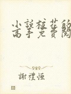 小说校花的贴身高手免费阅读原文