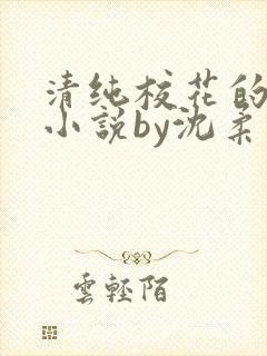 清纯校花的日常小说by沈柔