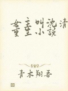 女主叫沈清婉的重生小说
