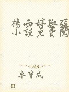 杨雨婷与张书记小说免费阅读