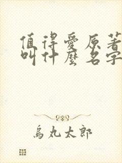 值得爱原著小说叫什么名字啊封面