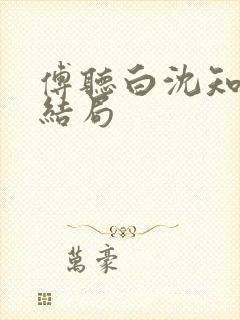 傅听白沈知意大结局