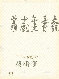 曾少年长大了电视剧免费观看全集