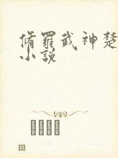 修罗武神楚枫 小说