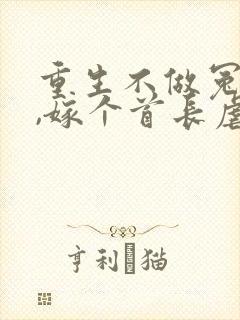 重生不做冤种妻,嫁个首长虐前夫封面