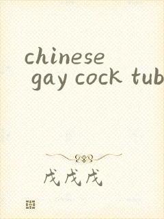 chinese gay cock tube封面