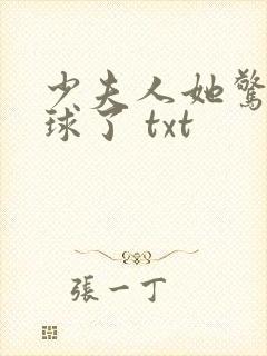 少夫人她惊艳全球了 txt