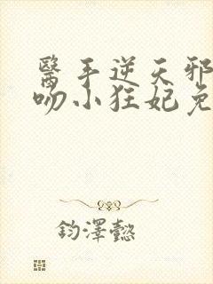 医手逆天邪王毒吻小狂妃免费阅读封面