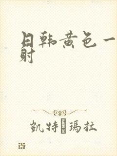 日韩黄色一级内射