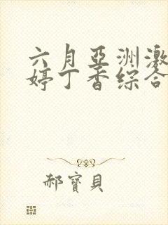 六月亚洲激情婷婷丁香综合网