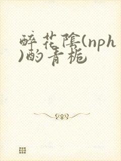 醉花阴(nph)酌青栀