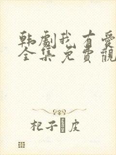 韩剧我有爱人了全集免费观看