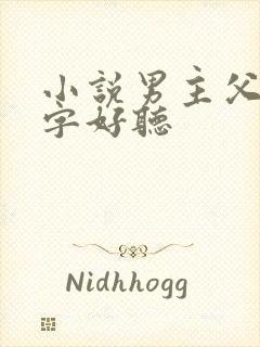 小说男主父亲名字好听