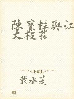 陈宝柱与江南四大校花