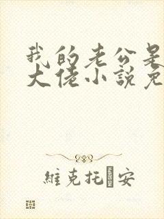 我的老公是千亿大佬小说免费阅读封面