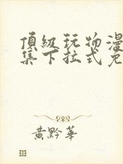 顶级玩物漫画全集下拉式免费观看