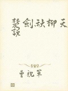 楚剑秋柳天瑶小说