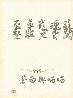 至尊武魂苏莫完整版免费阅读