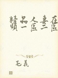 精品人妻在线视频一区二区