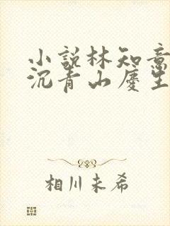 小说林知意,宫沉青山庆生