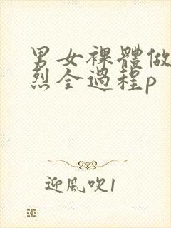 男女裸体做爰猛烈全过程p