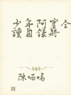 少年阿宾全文阅读目录册