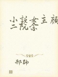 小说女主颜汐女二阮念封面