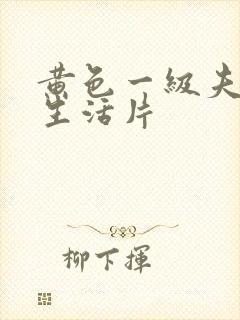 黄色一级夫妻性生活片