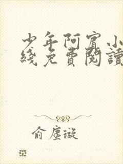 少年阿宾小说在线免费阅读