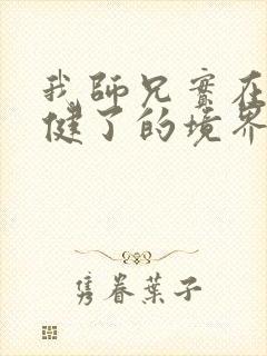 我师兄实在太稳健了的境界划分